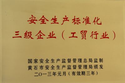 安全生产标准化证书